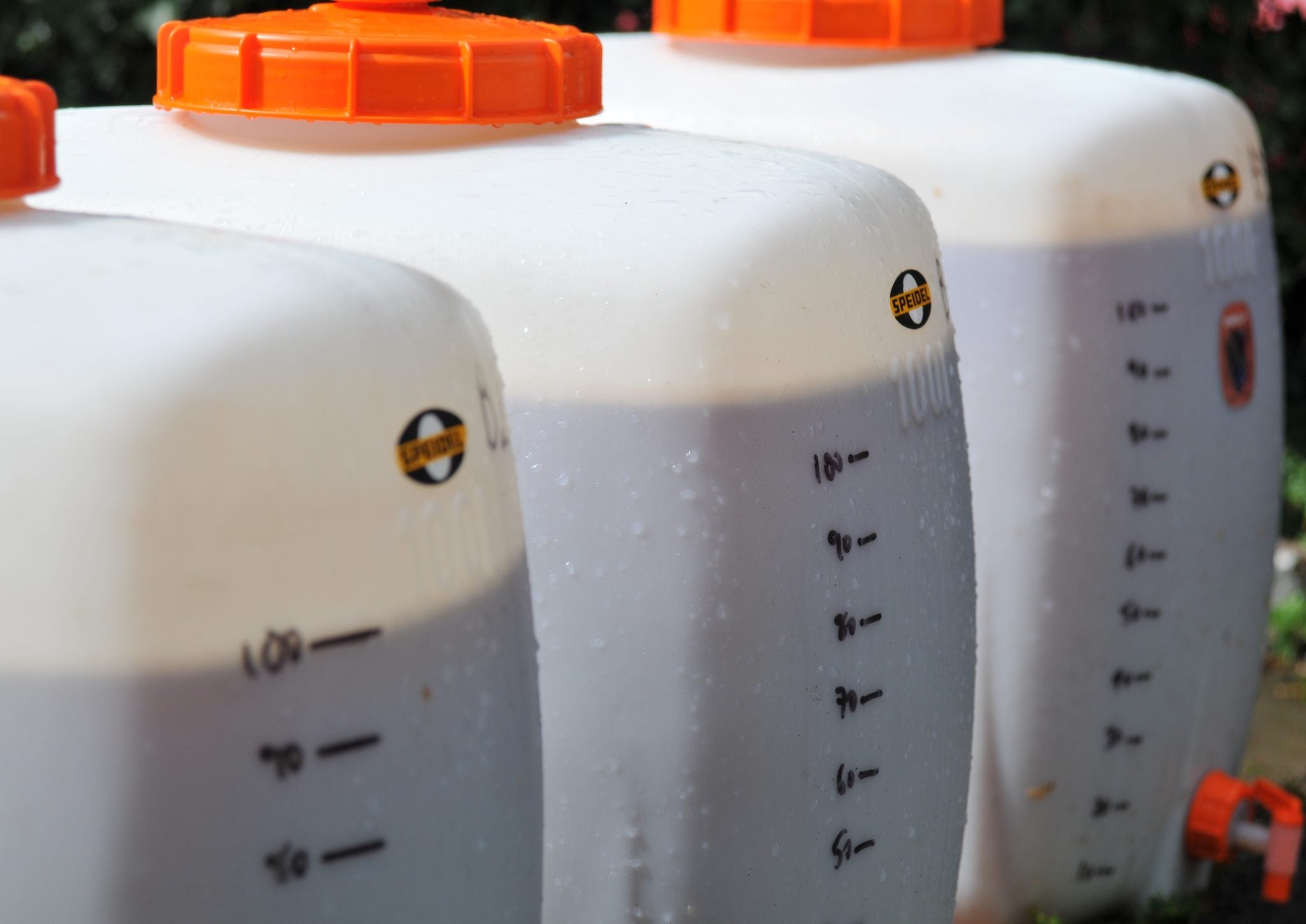 Virtual Orchard Goes Large