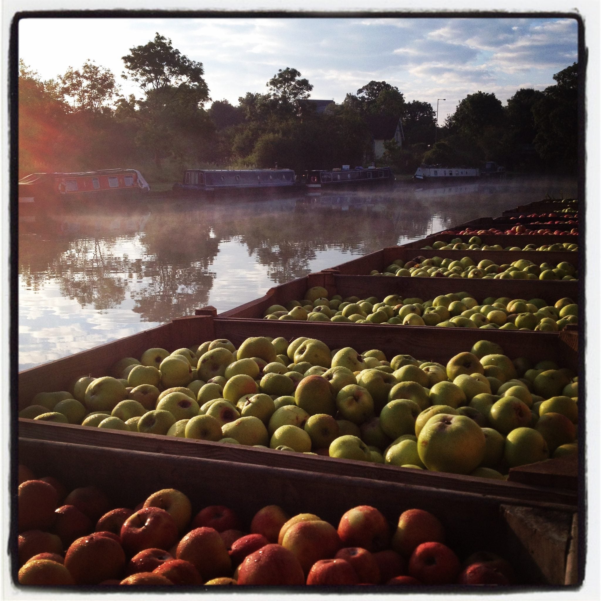 8 Months in 8 Minutes