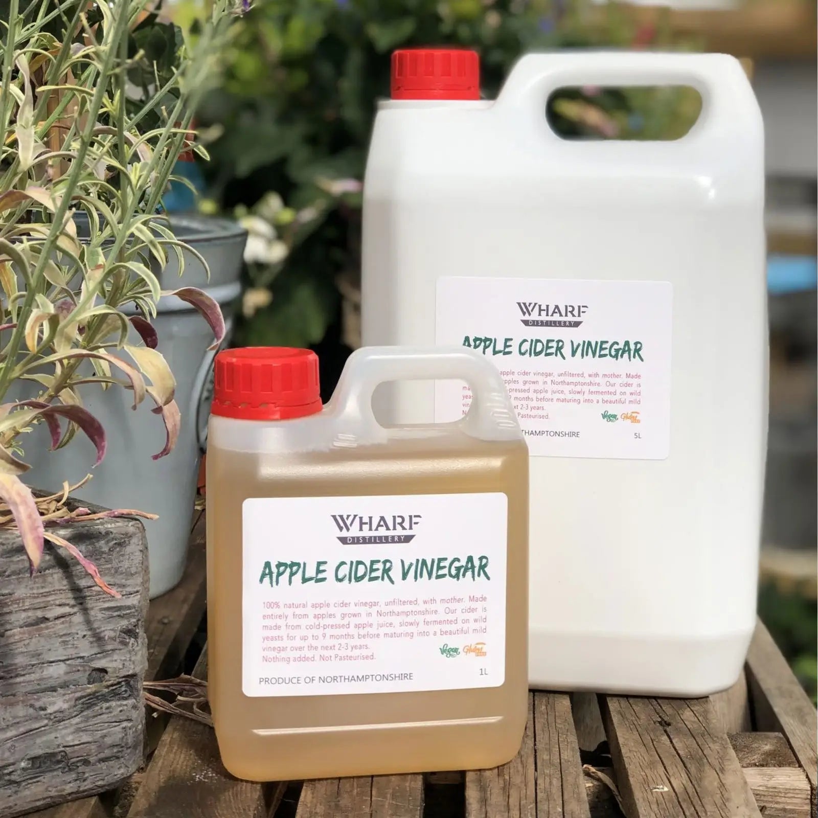 Cider Vinegar