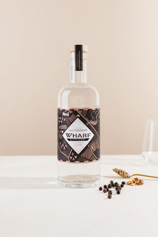 Lactodorum 'Towcester' Gin